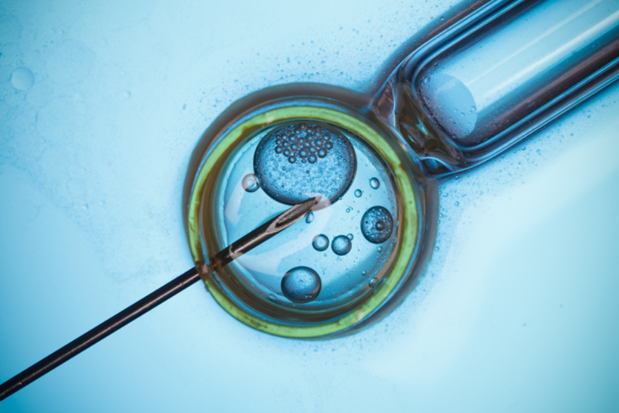 The Evolution of IVF: How Technology Is Transforming Fertility Care